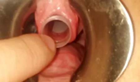 இளம் கேட் பிரஞ்சு மீது Ulf லார்சன் அழகான செக்ஸ் வீடியோக்கள்