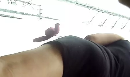 நீல தேவதை பெறுகிறார் 2 porn செக்ஸ் வீடியோ smotret பெரிய டிக், 3-வழி!
